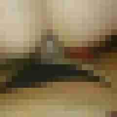 Dick_Lover