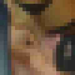 Dick_Lover