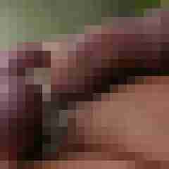 ruttish