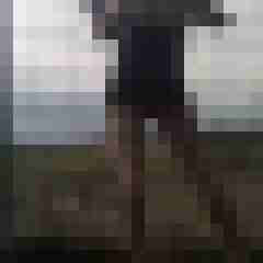 truckinnylons