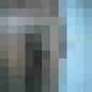 wolf_1b