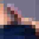 dolphin_07