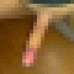 patte83