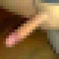 patte83