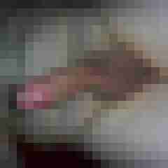 robertbilive