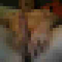 bonavox22