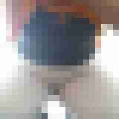Mistbiene