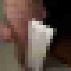 noctolus
