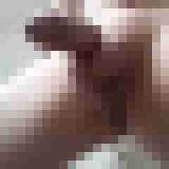 exib1