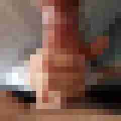 pichunters