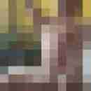 Public_wix