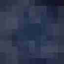 StgtM81