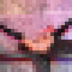 seemann0706