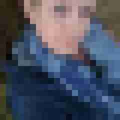 Mistbiene