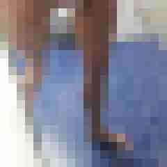 st_bernard_69