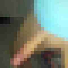 patte83