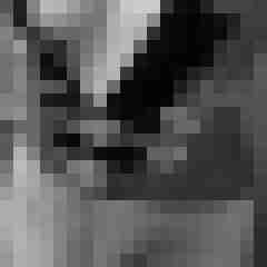 Eule_41