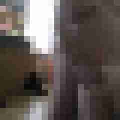 robertbilive