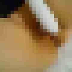 Mistbiene