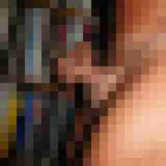 wolf_1b