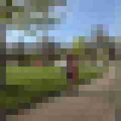 publicstute