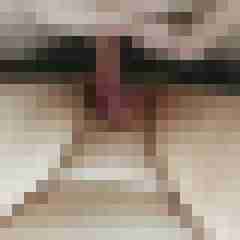 scampie87