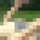 basebase