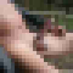 Robby42