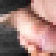 Lurchi01