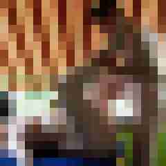 Carlchen