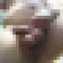 exib1