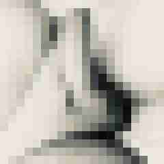 signothetimes