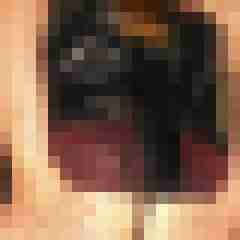 creampiepussy69