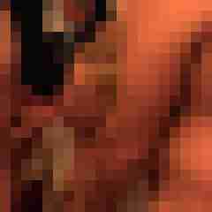 picturefreak