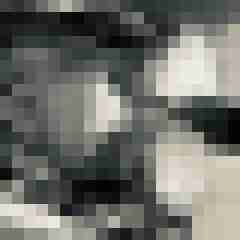 Hiege
