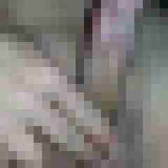 steveboy77