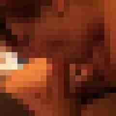 picturefreak