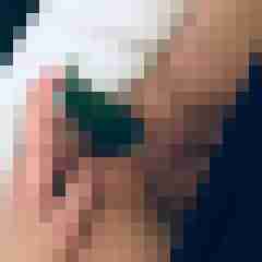 signothetimes