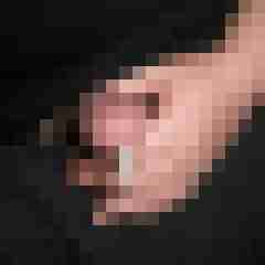 Lurchi01