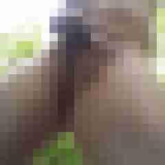 exib1