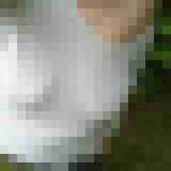 Mistbiene