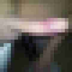patte83