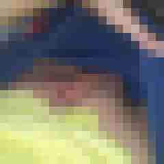 patte83