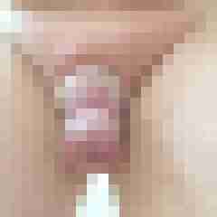 signothetimes
