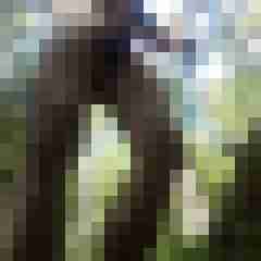 exib1