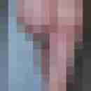 ralle1a