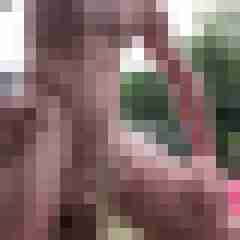 eagle_28
