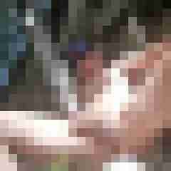enrico12