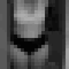 arschstute