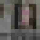 Phorus